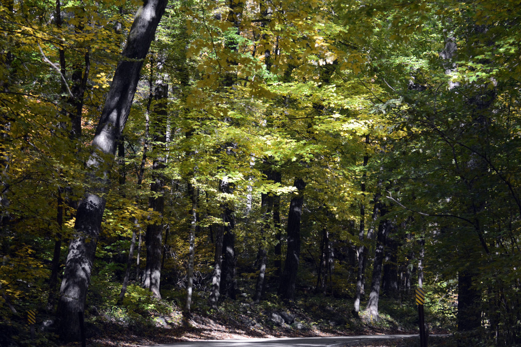 Baraboo area fall color, Oct. 8, 2020